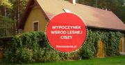Urlop pośród leśnej ciszy. Poznaj niezwykłe miejsce na Ziemi Lubuskiej