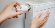 Ciepło z lata zostawią na zimę. Sposób idealny?
