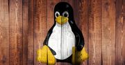 Linux 5.6 ujrzał światło dzienne. Obsługa USB4 i WireGuard na liście nowości
