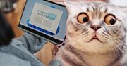 Microsoft pokazał interfejs nowego Windowsa 12. Dlaczego nie ma się czym chwalić?
