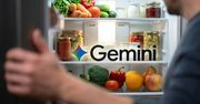 Otwierasz lodówkę, a tam Gemini. I to nawet nie jest żart