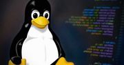 Linux obchodzi 30. urodziny – sukces systemu w dużej mierze zależał od jednej decyzji