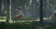 theHunter: Call of the Wild - ładny symulator myśliwego ma polskiego wydawcę
