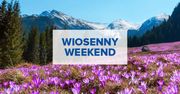 Gdzie na wiosenny weekend? 6 najpiękniejszych miejsc w Polsce