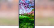 Xiaomi podbija Europę - imponujące statystyki wzrostu sprzedaży