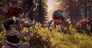 „Co do cholery jest z wami nie tak?”, pyta twórca Horizon: Zero Dawn