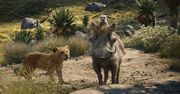 W 2019 roku Polacy chętnie odwiedzali kina, ale największym hitem nie okazał się żaden z filmów fabularnych