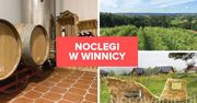 Noclegi w winnicy - poznaj wyjątkową propozycję z Gór Świętokrzyskich