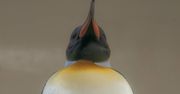 Nowy Linux 5.9 ze zmianą przygotowywaną od ponad 5 lat