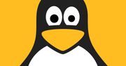 Linux 5.4 obsługuje exFAT! Co jeszcze wprowadza ta nowa wersja?
