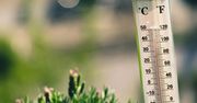 Najwyższa temperatura, jaką może wytrzymać ludzkie ciało? Naukowcy odpowiadają