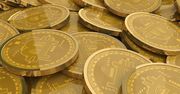 Bitcoinowi miliarderzy - bracia Winklevoss
