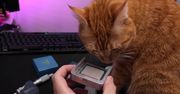 Jest piekielnie gorący. Pokazał jak obniżyć temperatury topowego procesora Intel