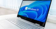 Ludzie przesiadają się na Windows 11. W statystykach prowadzi inny system