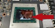 Karty Radeon RX 6800 i 6900 z poważnym problemem. Niemiecki serwis bije na alarm