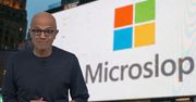 Szef Microsoftu miał apel do internautów. Takiej reakcji się nie spodziewał