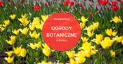 5 najpiękniejszych ogrodów botanicznych w Polsce