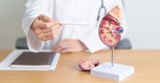 Wszczepili mu nerkę świni. Działa już od 32 dni