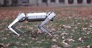 Ten robot to najlepsze co dziś zobaczycie - MIT Mini Cheetah robi wrażenie