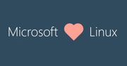 Microsoft jest platynowym członkiem… Linux Foundation