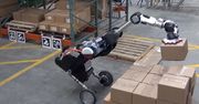Imponujący robot-magazynier w akcji