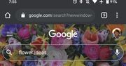 Mobilna wyszukiwarka Google będzie bardziej kolorowa