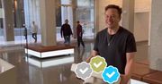 Elon mówi, że Twitter będzie rozdawał kolorki w przyszłym tygodniu