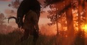 Z Red Dead Redemption 2 na PC usunięto już jeden z najdziwniejszych błędów, jakie ostatnio znaleziono w grach