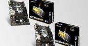 Biostar H310MHD PRO i B360MHD PRO - ekonomiczne płyty pod Coffee Lake