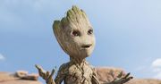 Marvel ma kolejny ciekawy pomysł, Groot doczeka się swojego serialu