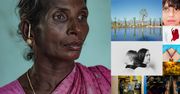 Sony World Photography Awards 2019 - najlepsze fotografie roku zdaniem WPA