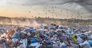 Kanada kontra jednorazowy plastik - dołącza do walki