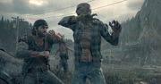 Nie siłą, lecz sprytem. Godny uwagi wyczyn gracza w Days Gone