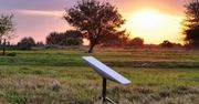 ACO Solutions autoryzowanym dostawcą Peplink i Starlink