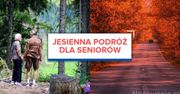 Jesienna podróż dla seniorów. Gdzie warto się wybrać?