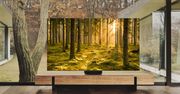 To najlepszy telewizor Samsung w tym roku