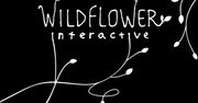 Wildflower Interactive – nazwa warta zapamiętania