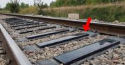 Wymyślili coś genialnego. To już nie pomysł, a rzeczywistość
