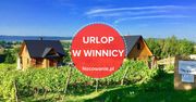Urlop w winnicy! Musisz tego spróbować
