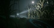 Outlast 2 - nowy gameplay dla miłośników grozy