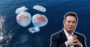 Framonauci wrócili do domu. Udany finał przełomowej misji SpaceX