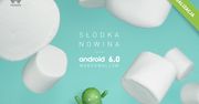 Huawei P8 Lite otrzymał Androida 6.0 Marshmallow