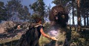 Nie Project Athia, ale Forspoken ma przyciągać właścicieli PlayStation 5