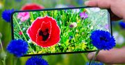 Google zapowiada zmianę Pogody. Czego powinniśmy się spodziewać?