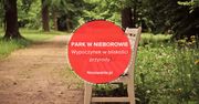 Wypoczynek w bliskości przyrody. Odkryj niezwykły park na Ziemi Łódzkiej