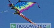 XII Międzynarodowy Festiwal Latawca w Łebie