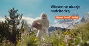 Wiosenne okazje od Amazon - hit czy kit?