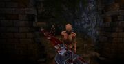 Zapowiedziano Wrath: Aeon of Ruin - duchowego spadkobiercę Quake'a