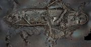 Zeskanowali w 3D statek Endurance. Wiemy, co sir Shackleton miał na pokładzie