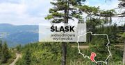 5 pomysłów na jednodniowe wycieczki na Śląsku. Gdzie się wybrać?